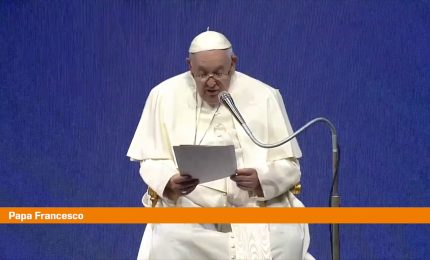 Papa "Mettere su famiglia &egrave; diventato uno sforzo titanico"