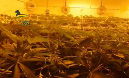 Sequestrati a Firenze quasi 700 kg di droga, dieci gli arrestati