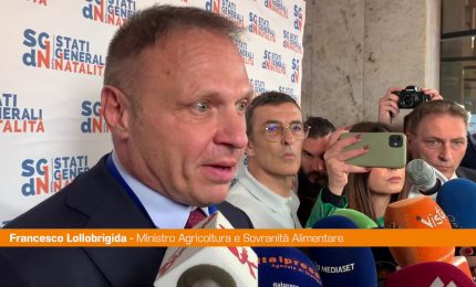 Natalit&agrave;, Lollobrigida "Esiste un'etnia italiana da tutelare"