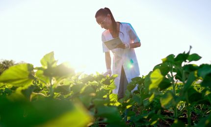 Nell'agroalimentare perse 21 mila imprese in 3 anni