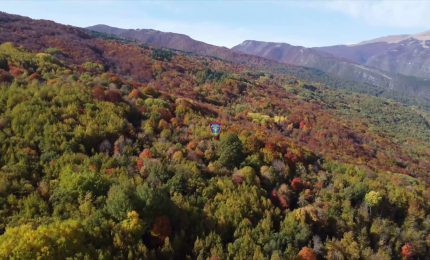 Biodiversit&agrave;, una mostra dei carabinieri all'Onu