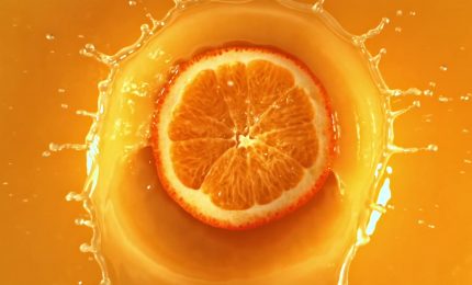 Agroalimentare, la qualit&agrave; passa anche dalla formazione