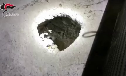 'Ndrangheta, operazione Eureka. Le immagini della cattura