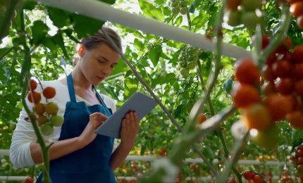 In calo gli occupati nell'agricoltura