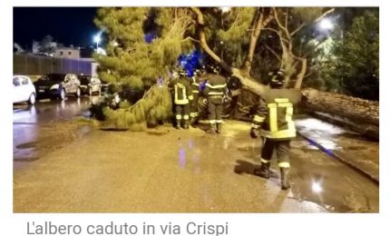 Non è che i lavori dell'Anello ferroviario di Palermo hanno creato problemi agli alberi di via Crispi?/ MATTINALE 921