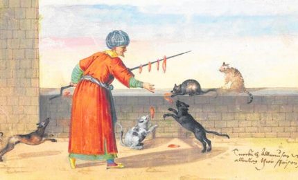 Maometto amava i gatti e il Corano riconosce a questi animali il possesso dell'anima