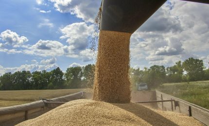 Salta l'accordo per l'export di grano ucraino nel Mar Nero mentre il prezzo del grano duro 'viaggia' verso i 20 euro/qle