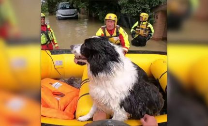 Maltempo, Croce Rossa al lavoro per salvare persone e animali