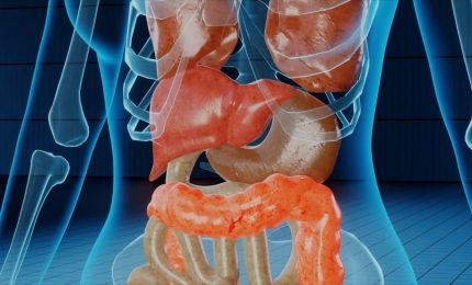 Calcoli biliari, disturbo diffuso. Ecco cosa fare se ne soffri