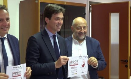 Marche, Acquaroli "Vino e birra settori dal grande potenziale"