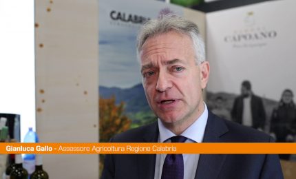Calabria, Gallo "Efficace azione di promozione nel mondo"