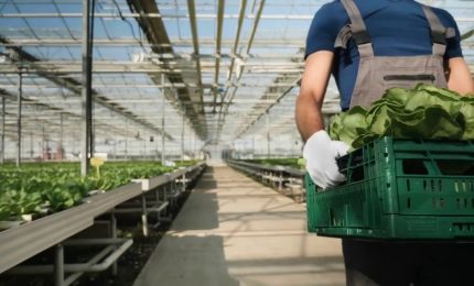 Un'impresa agricola su 4 investir&agrave; nel digitale entro il 2024