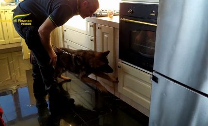 Droga e appalti, 4 arresti a Pescara