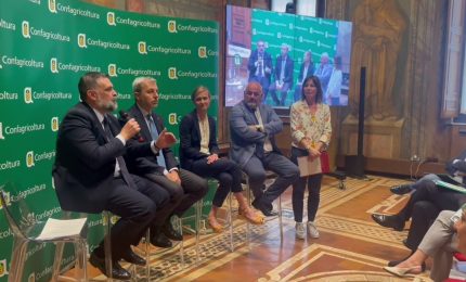 Agricoltura, passi avanti per le Tecniche di Evoluzione Assistita