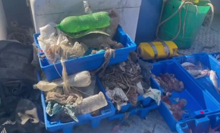 Pi&ugrave; plastica che pesci, Marevivo lancia l'allarme