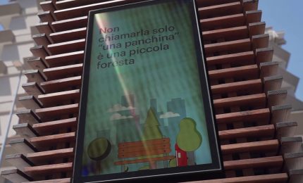 A Bari "City Tree", l'opera che assorbe lo smog e rilascia aria pulita