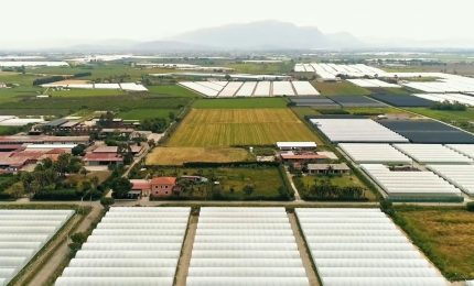 Agroalimentare, la formazione continua &egrave; decisiva per l'innovazione