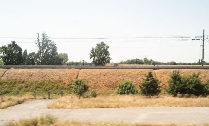 Confcooperative a difesa del grano siciliano