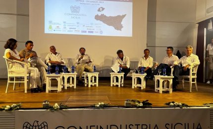 Malandrino &ldquo;Per la Sicilia enormi opportunit&agrave; da transizione energetica&rdquo;