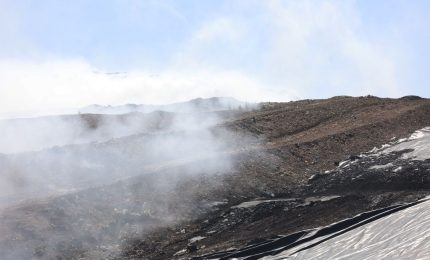 Ordinanza anti diossina del sindaco Lagalla, evitare carne e uova