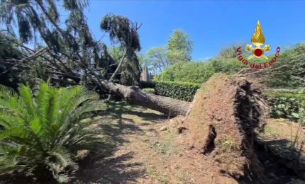 Maltempo a Novara, 300 richieste di intervento ai Vigili del Fuoco