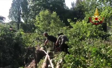 Il maltempo flagella il Veneto, forte vento e grandine