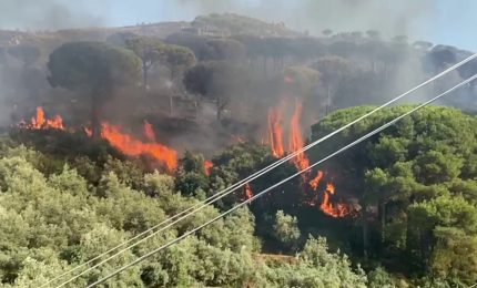Incendi nel palermitano, le immagini dle rogo a Monreale