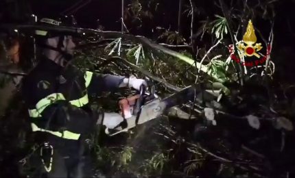 Il maltempo colpisce anche il Friuli Venezia Giulia