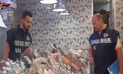 Intossicazioni per tonno sofisticato, 18 misure cautelari a Bari