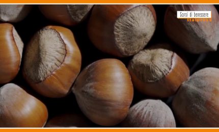 Sorsi di benessere - Uno smoothie senza zuccheri con fibre e proteine