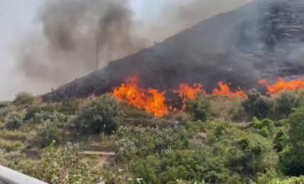 Incendio alle porte di Palermo, in fumo ettari di macchia mediterranea