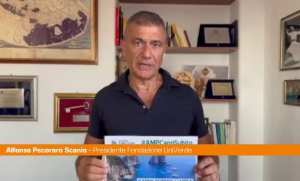 Pecoraro "Capri merita l'Area Marina Protetta"