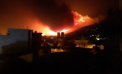 A Palermo incendio di Bellolampo e inquinamento con diossina. Una possibile 'radiografia' dei criminali che incendiano i boschi