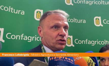 Lollobrigida "Con carta spesa prodotti al 90% italiani"