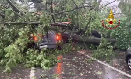 Maltempo, alberi caduti e allagamenti nel Nord della Lombardia