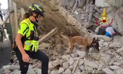 Unit&agrave; cinofile al lavoro dopo crollo palazzina a Torre del Greco