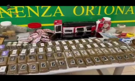 Droga e prodotti contraffatti, arrestato ventenne in Abruzzo