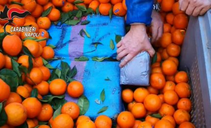 Tonnellate di droga tra la frutta, 7 misure cautelari a Napoli