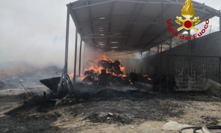 In fiamme stalla a Corleone, strage di bovini