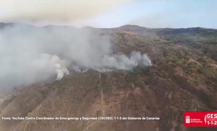 Spagna, in fiamme i boschi di Tenerife
