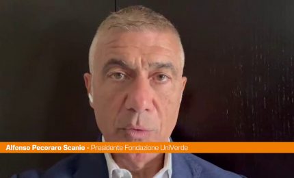Pecoraro Scanio &ldquo;Aumento limiti elettrosmog &egrave; blitz contro la salute"
