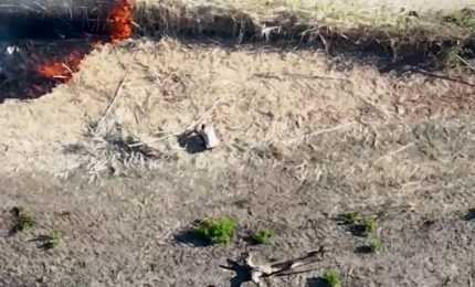 Incendi, drone incastra un piromane in Calabria