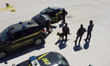 Controlli antidroga, segnalati 85 consumatori nel Foggiano