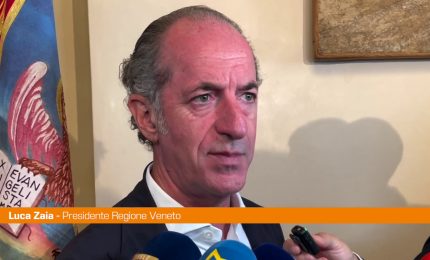 Zaia mostra il granchio blu "&Egrave; un'invasione"