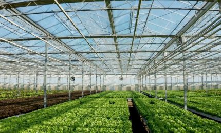 Le aziende agricole sono sempre pi&ugrave; green