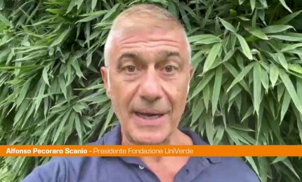 Pecoraro Scanio &ldquo;Governo inerte su crisi del turismo per prezzi folli"