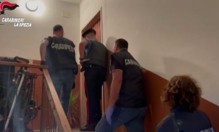 In manette tre topi d'appartamento albanesi