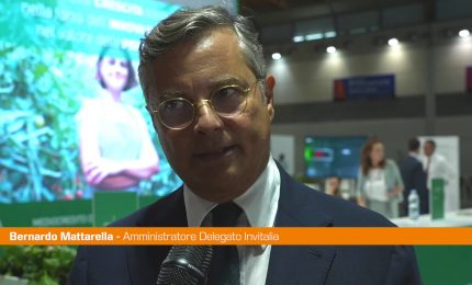 Invitalia, Mattarella "Nel 2022 sostegno a oltre 100 mila imprese"