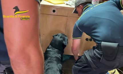 Nascondeva in un box 144 chili di droga, 30enne arrestato a Palermo