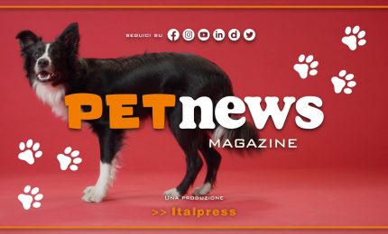 PetNews Magazine - 29/8/2023